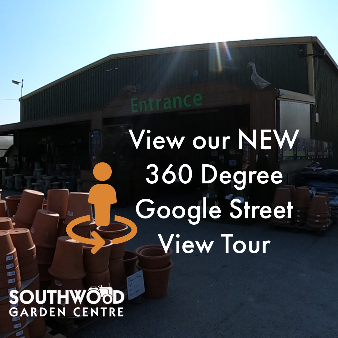 New 360 Degree Online Garden Centre Tour Southwood Garden Centre