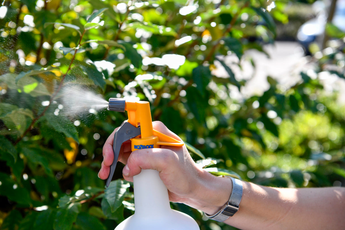 Multi Spray Plus - Pistole a spruzzo - spruzzatore