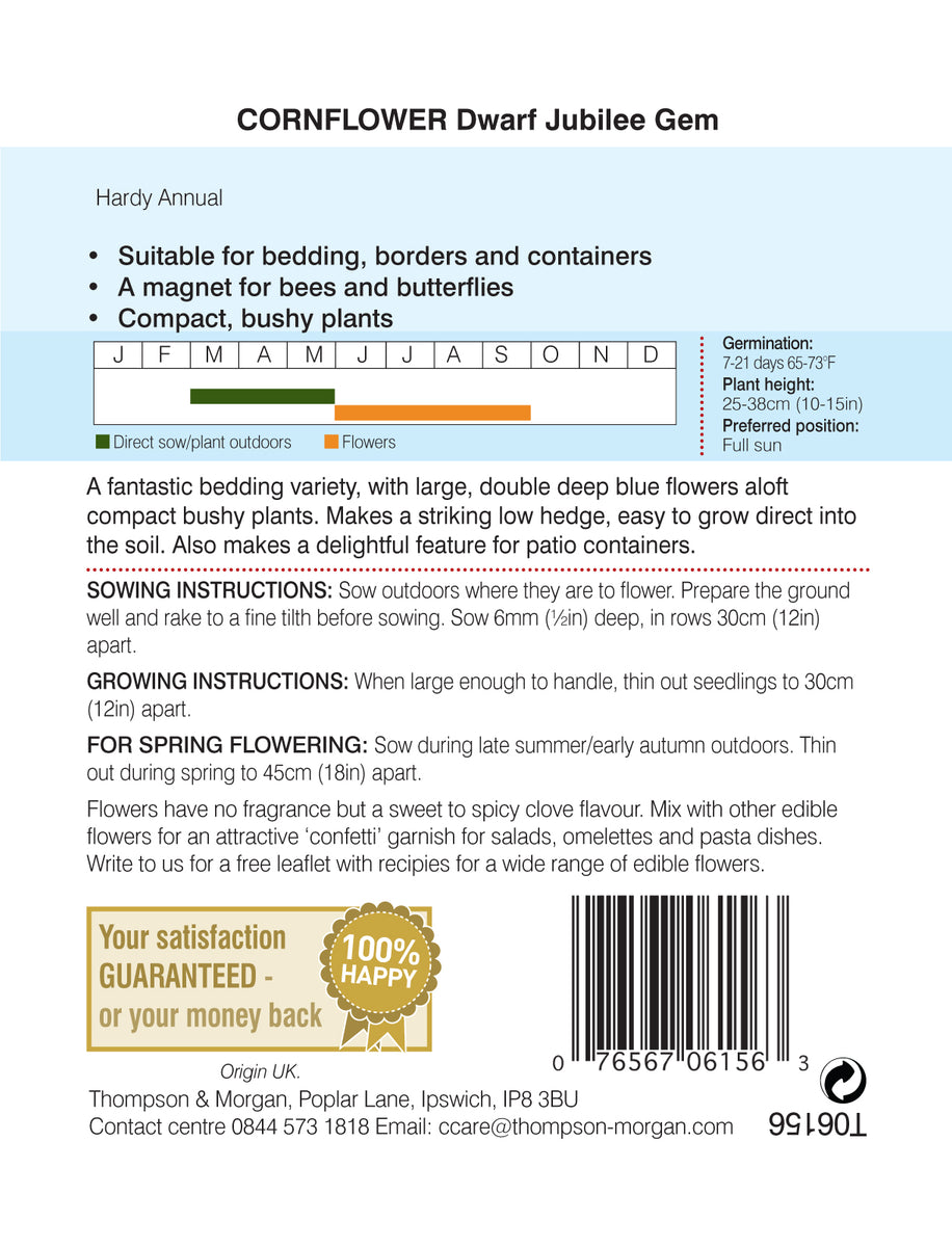 Cornflower Dwarf Jubilee Gem Pack of seeds Southwood Garden Centre