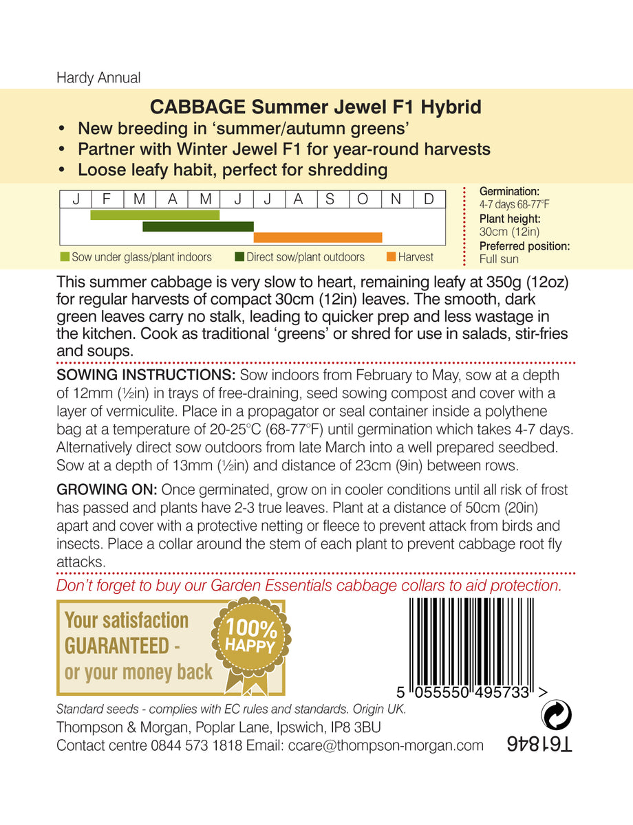 Cabbage Summer Jewel F1 Hybrid Pack of seeds Southwood Garden Centre