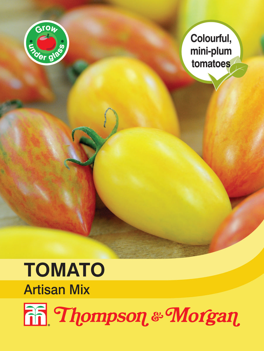 Tomato Artisan Mix (Pink Tiger & Blush Tiger) Pack of seeds