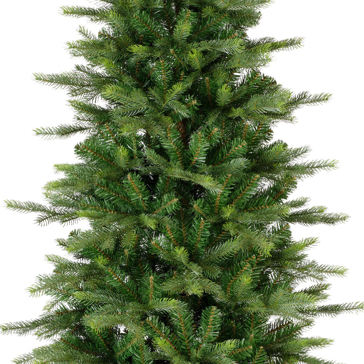 Everlands Grandis Slim Fir Christmas Tree Southwood Garden Centre