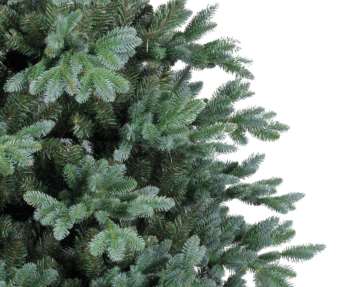 Everlands Trondheim Spruce Christmas Tree Southwood Garden Centre