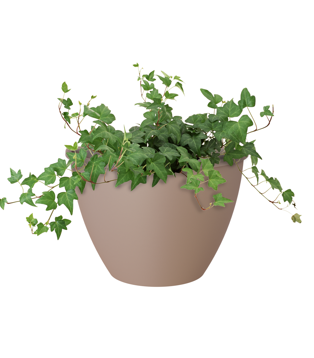 Artevasi Algarve Wall Plastic Plant Pot 30cm / 5.3L Southwood Garden Centre
