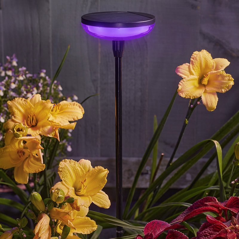 Smart Solar - Hygge Stake Colour Changing