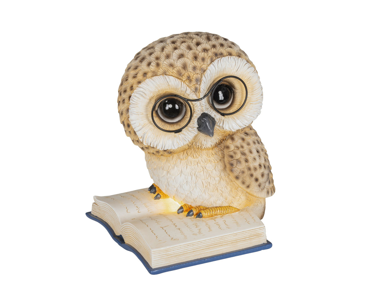 LED Owl Reading a Book 24.5cm