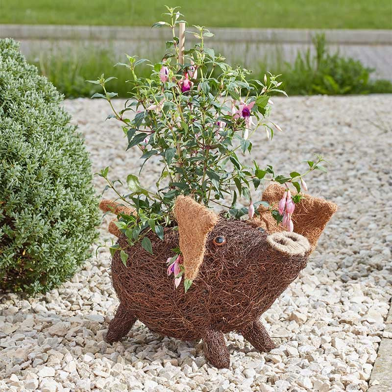 Porky Pig Rattan Planter