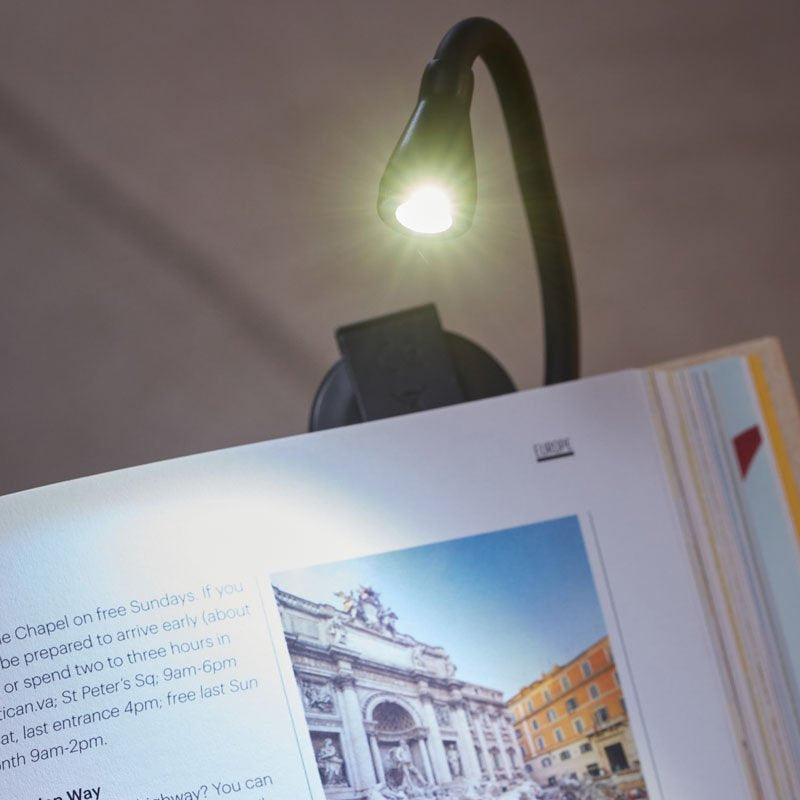 Eurkea Clip on Reading Light