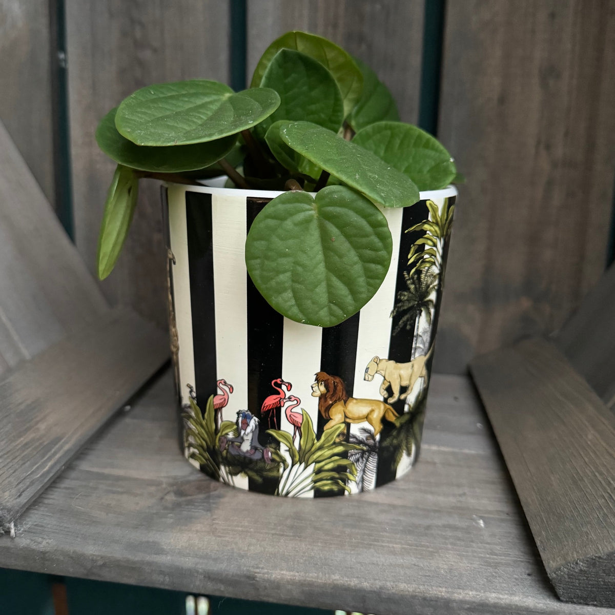 Disney Lion King Black & White Stripe Savannah House Plant Pot - Medium