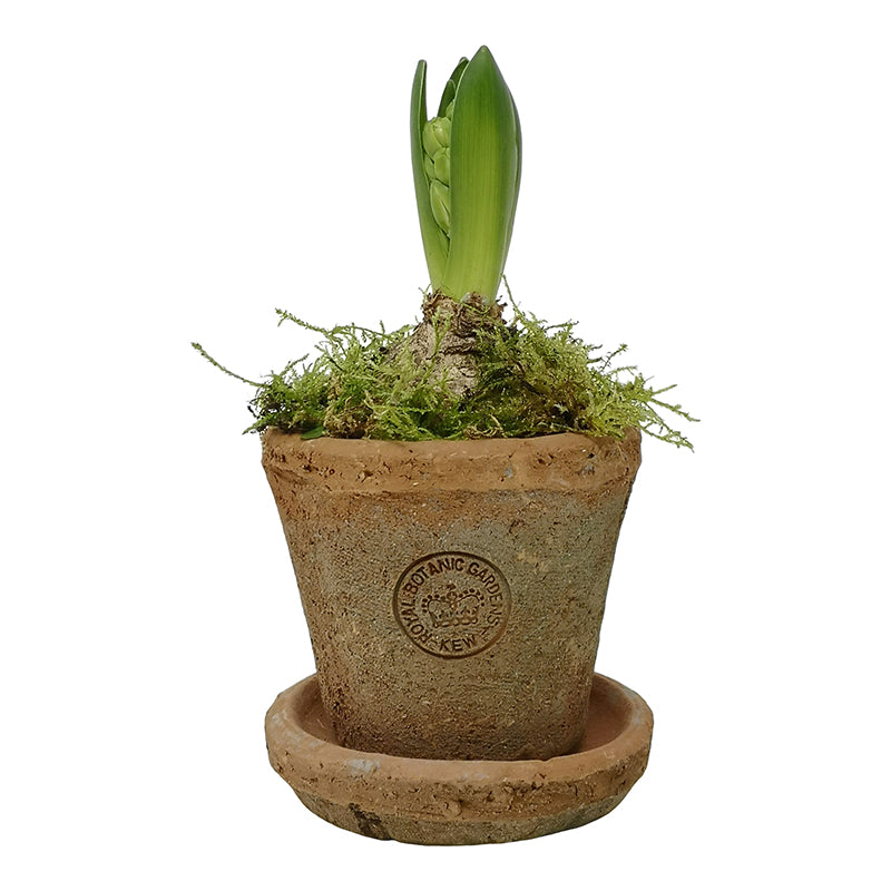 Kew Terracotta Pot Antique Red - Multiple Sizes Available