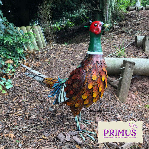 Metal Ring-necked Pheasant Garden Ornament
