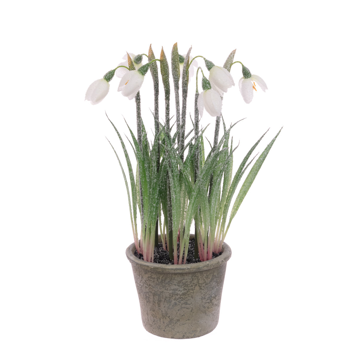 can you plant snowdrops in pots Artificial Frosted Snowdrop Plant in Pot