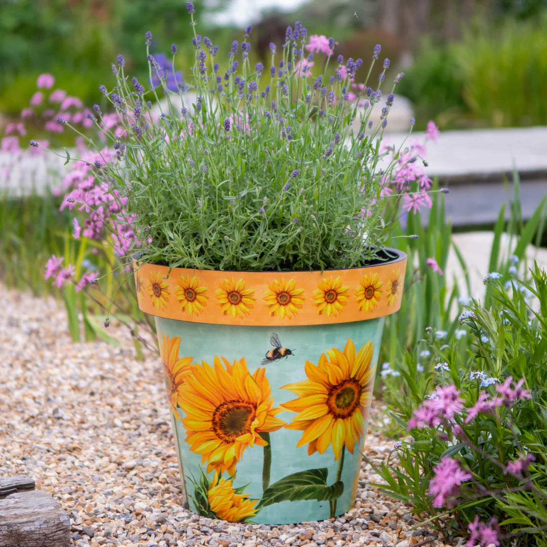Creekwood Zest Garden Plastic Plant Pot Watercolour Sunflower 22cm