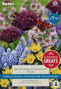 Taylor's Bulbs - BEES AND BUTTERFLIES COLLECTION Bulbs