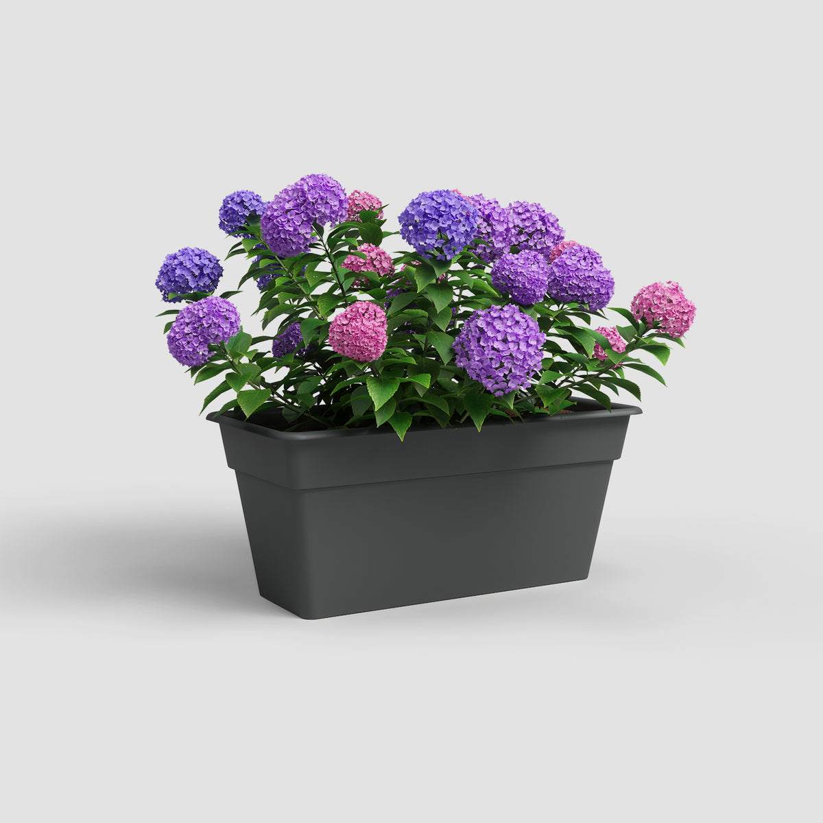 Artevasi Madagascar Plant Box XL - 80cm