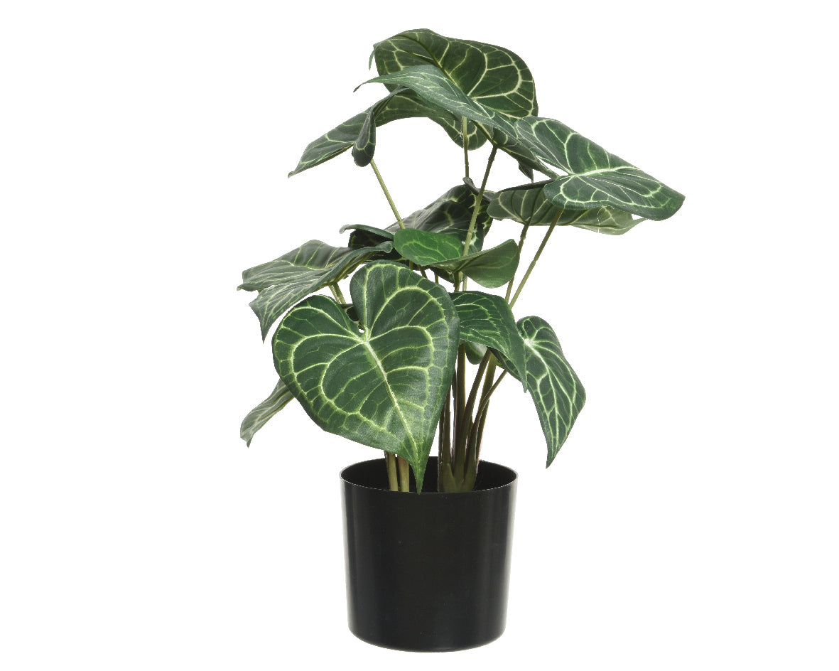 Artificial Potted Anthurium Clarinervium House Plant