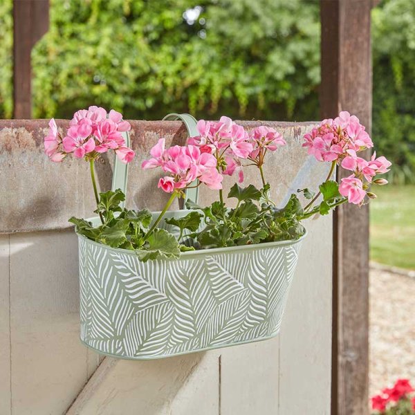 Sage Green Fern 12in Double Fence & Balcony Hanging Planter