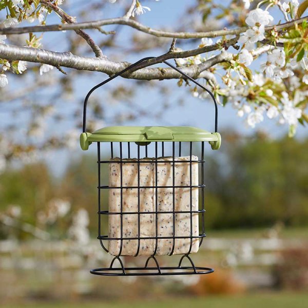 Chapelwood Suet Cake Bird Feeder