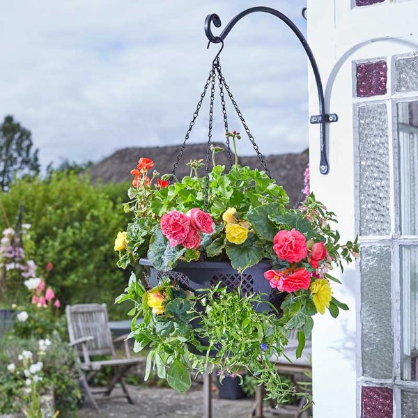 Smart Garden - 15in FlowerPro Hanging Basket