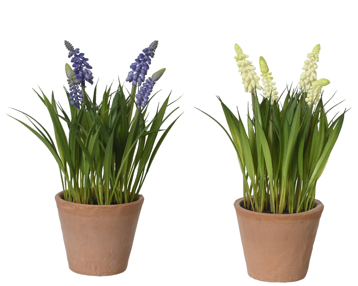 Artificial Potted Muscari in Vase 26cm