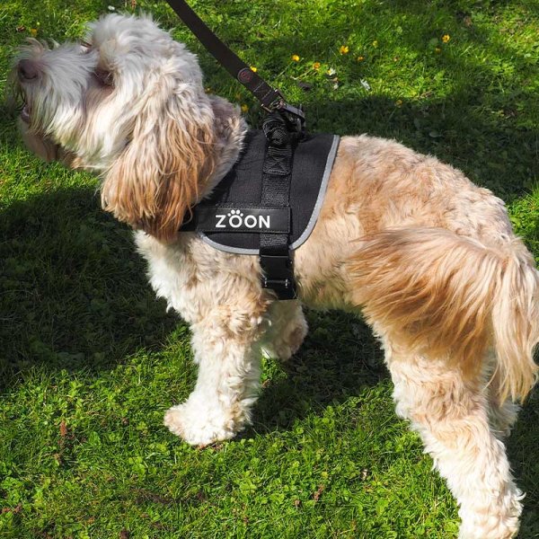 Zoon Jet Advanced Slip-on Walkabout Dog Harness
