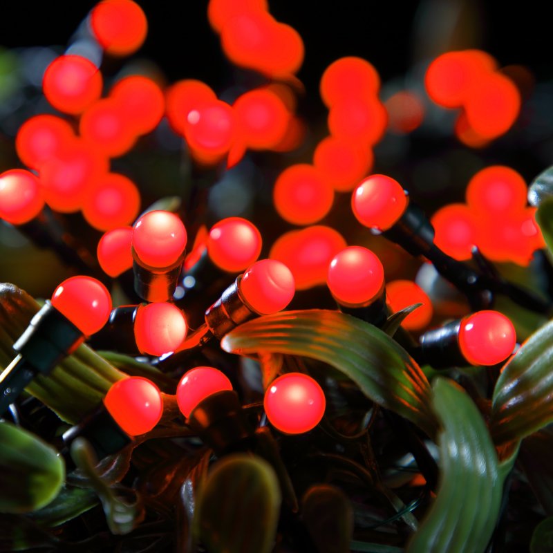NOMA Berry Fit & Forget Battery Operated LED Lights - Set of 100