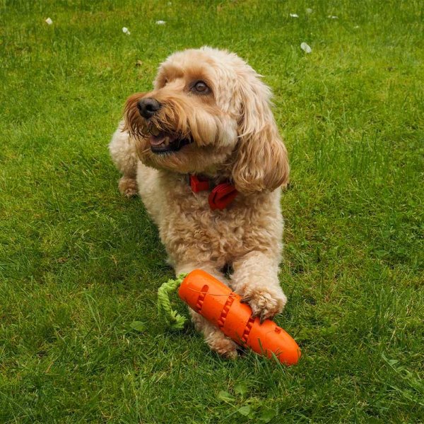 Zoon Carrot Dog Treat Dispenser