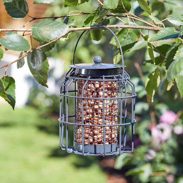 Compact Squirrel Proof Bird Peanut Feeder