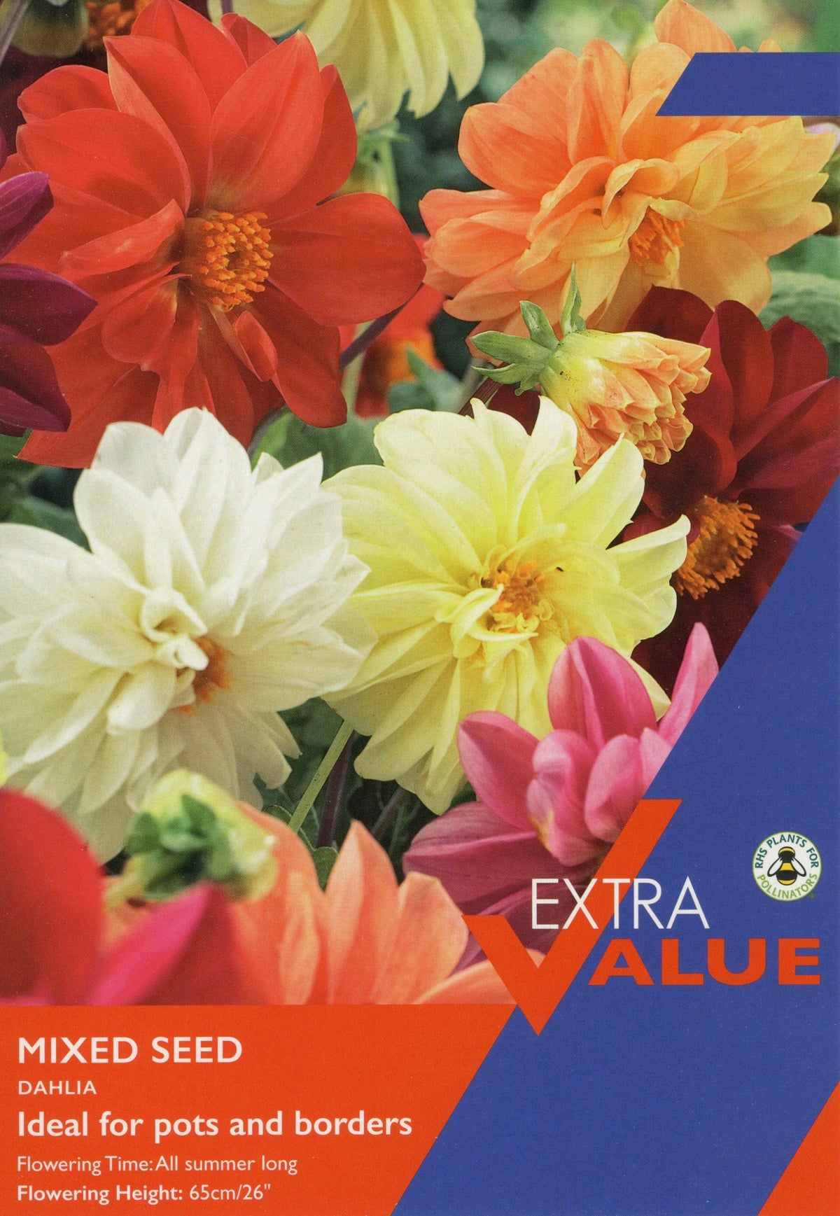 Taylor's Bulbs - DAHLIAS MIXED SEED Bulbs
