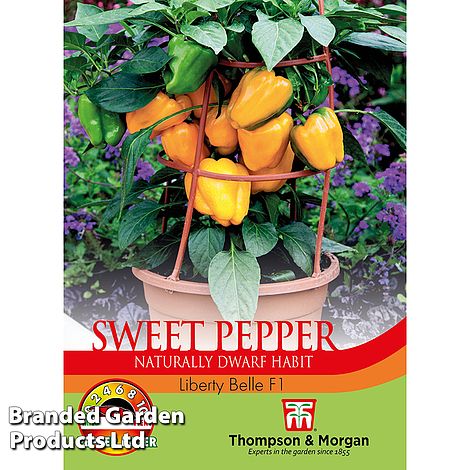 Sweet Pepper Liberty Belle F1 - Pack of Seeds