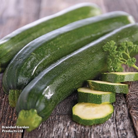 Courgette 'Zucchini' - Veg Saver Seeds