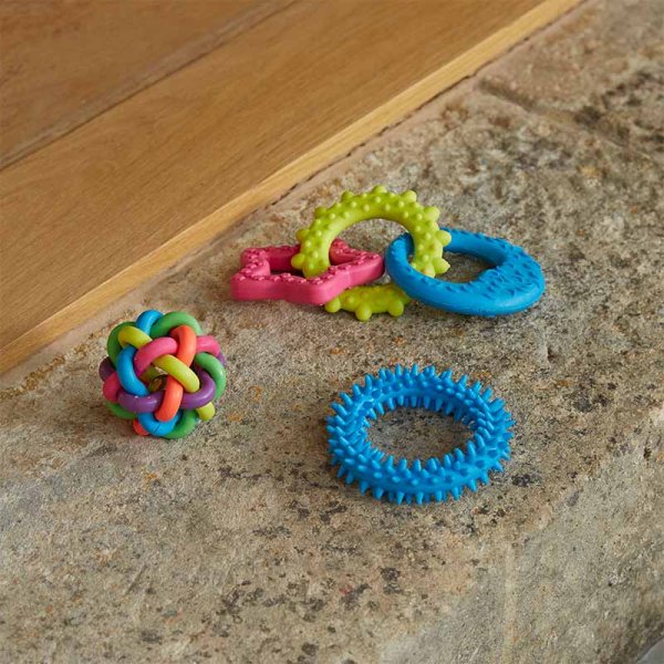 Mini Play Dog Toy Combi - Pack of 3