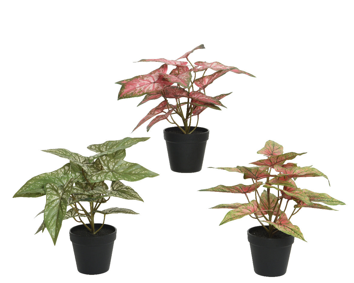 Artificial Potted Tropical Large Leaf Plant