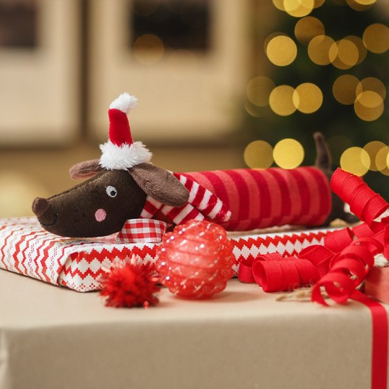 Christmas Squeaky Festive Frankie Sausage PlayPal Dog Toy