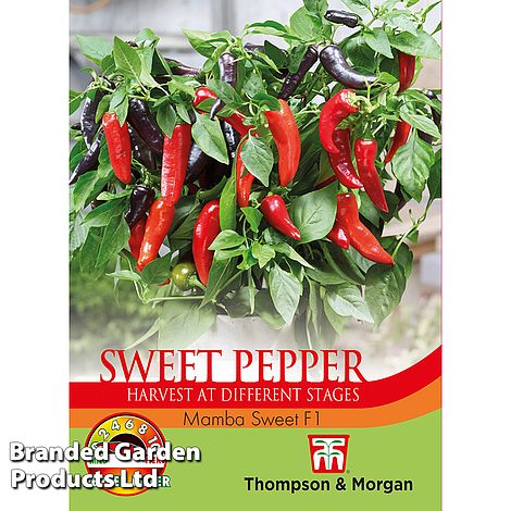 Sweet Pepper Mamba Sweet F1 - Pack of Seeds