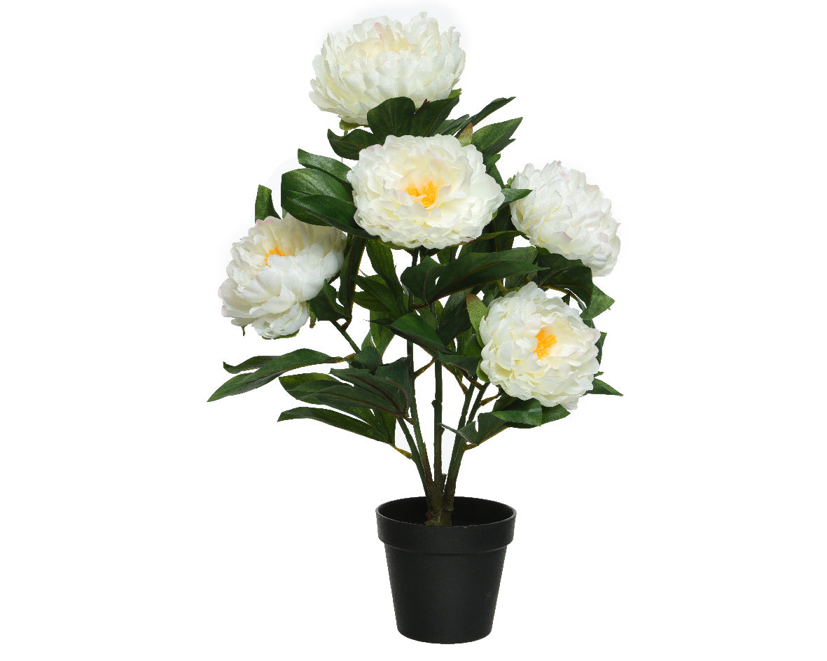 Artificial Potted White Peony Rose