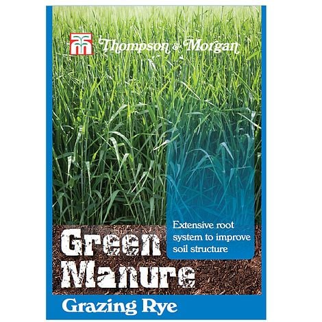 Green Manure Grazing Rye - Pack of Seeds