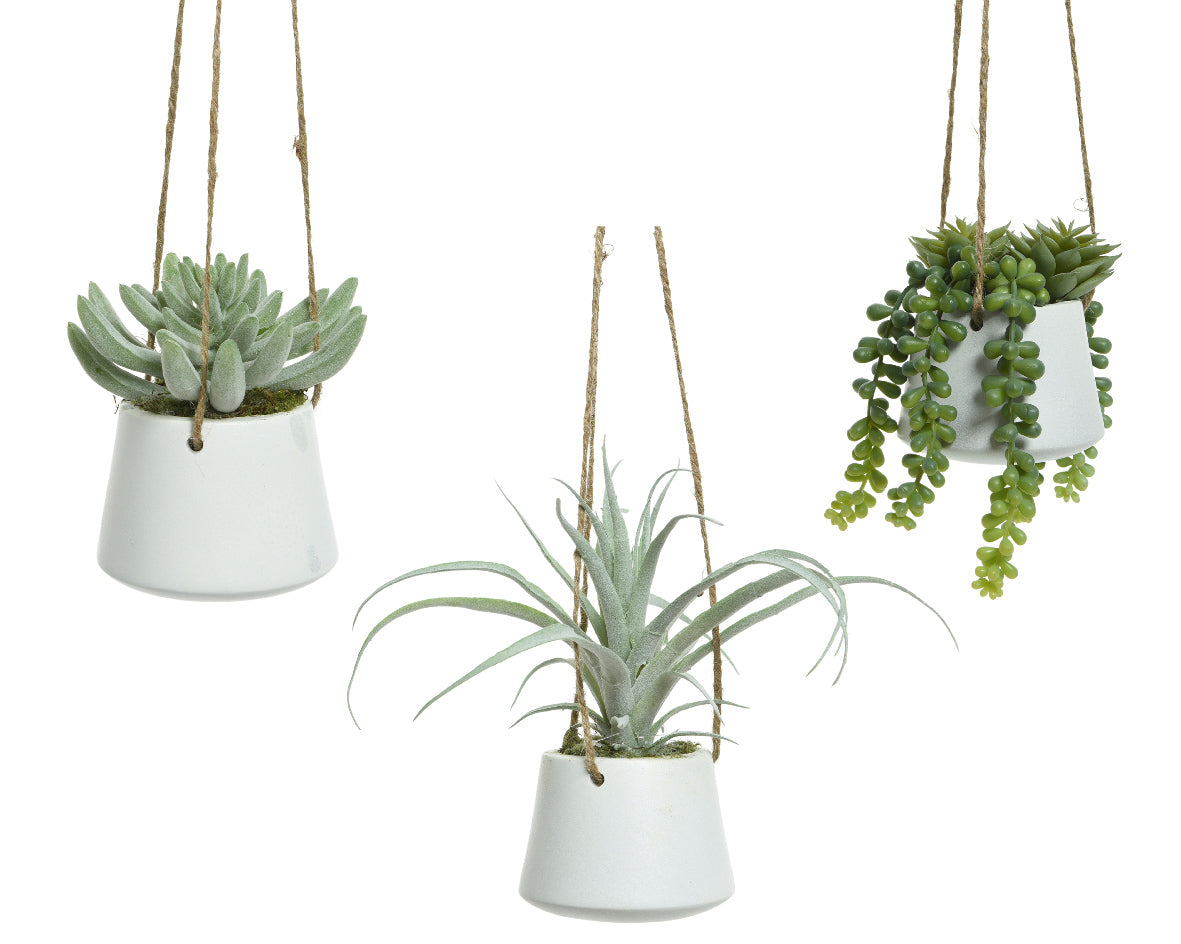 Hanging Artificial Succulent in White Plant Pot