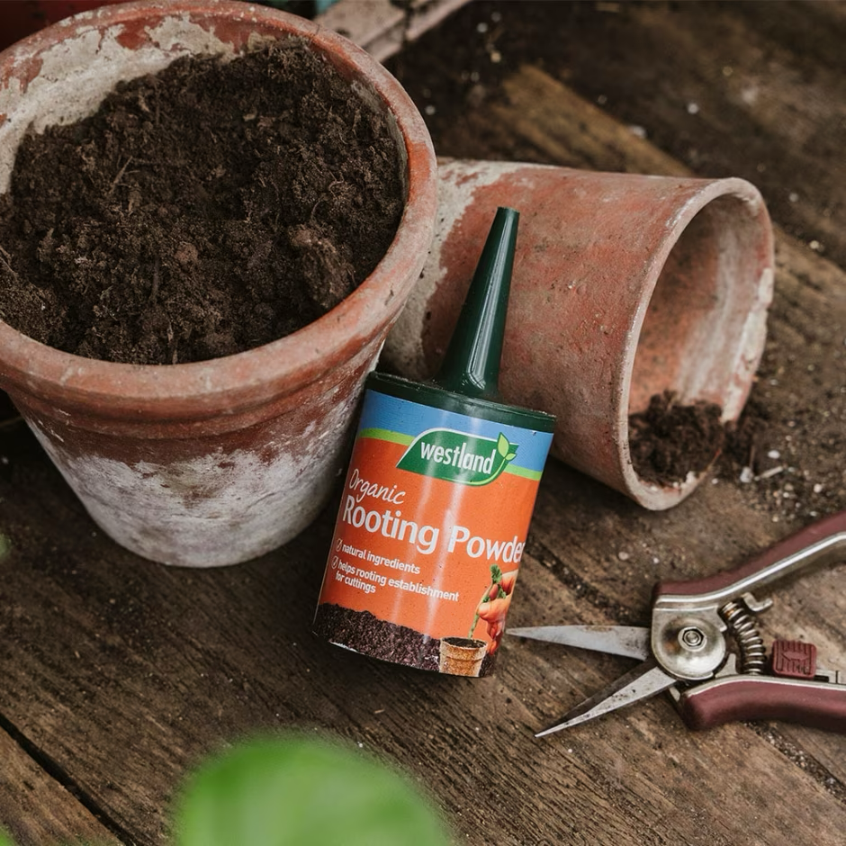 Westland Organic Rooting Powder – Southwood Garden Centre