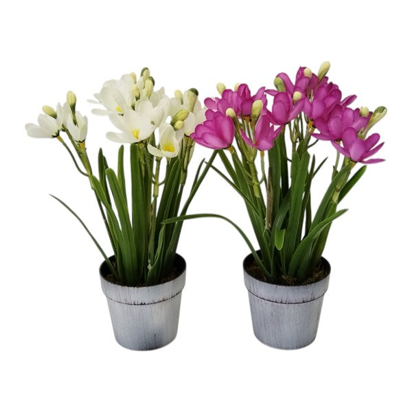 Artificial 28cm Potted Crocus Flower in White or Pink