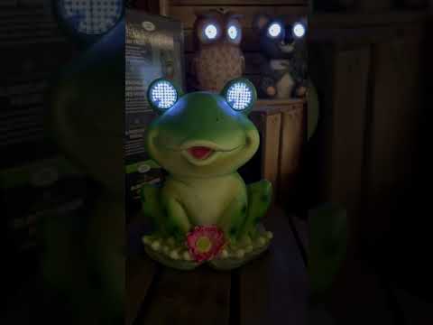 Smart Solar Blinkin' Frog with Moving Light Up Eyes