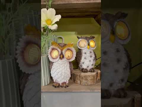 Premier Solar Powered Large Owl with Digital Moving Eyes
- 20cm