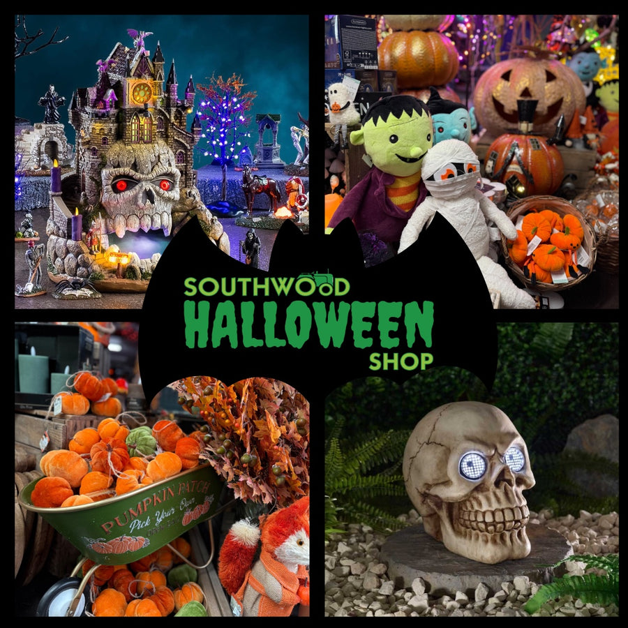 Southwood Halloween Shop display collage with pumpkins, Spooky Town, Halloween characters and skull decoration
