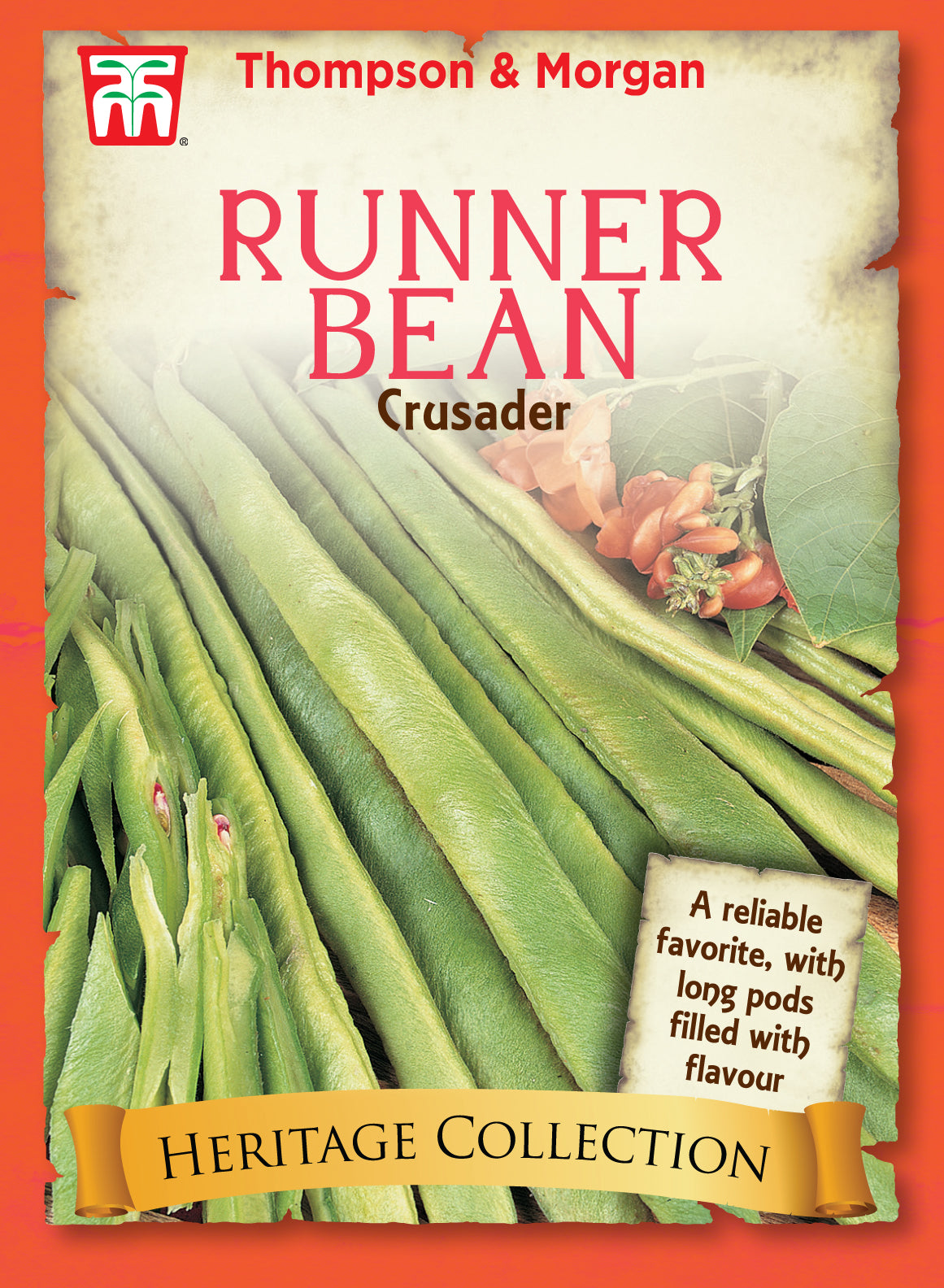 Runner Bean Crusader- Pack of seeds