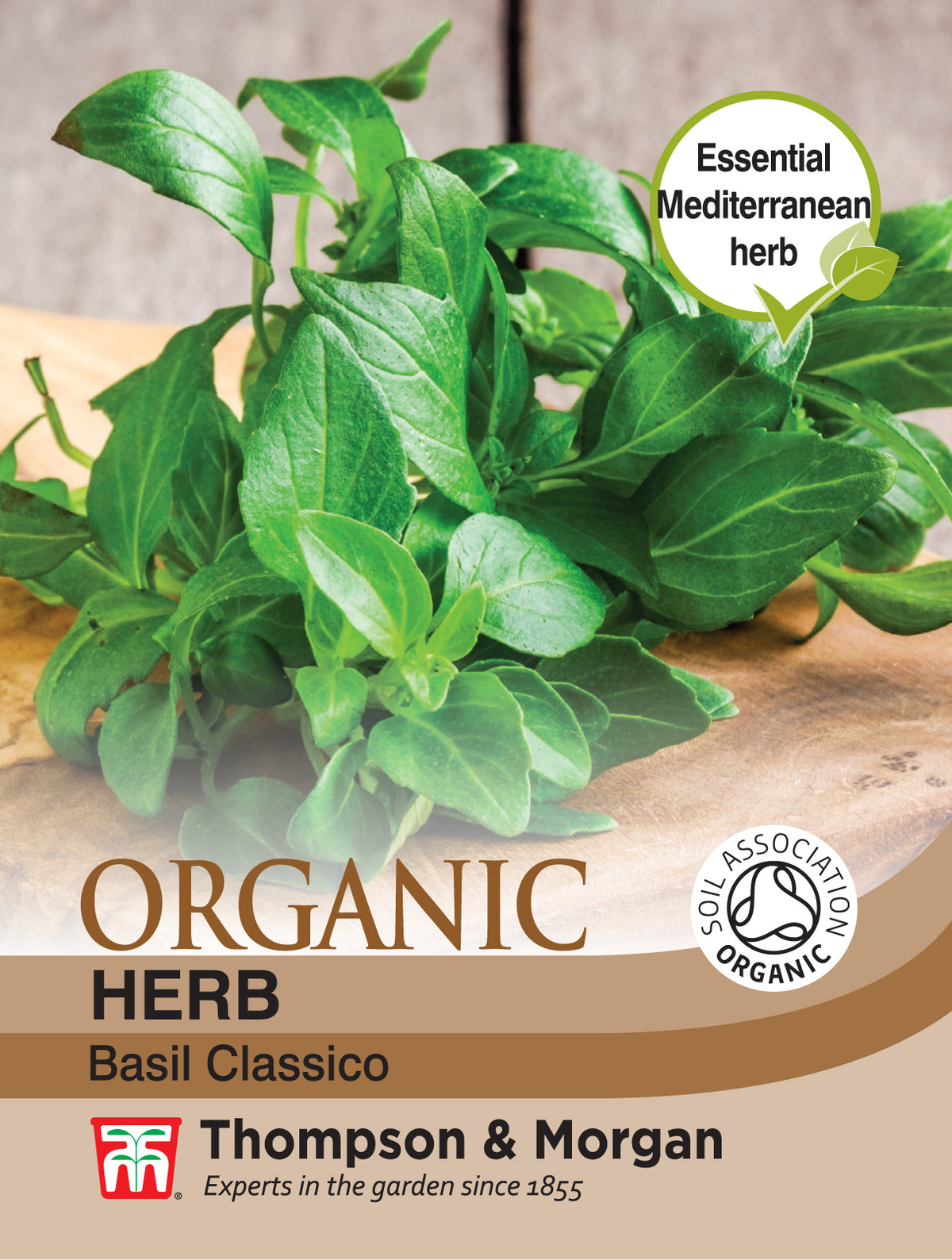 Herb Basil Classico (Organic)- Pack of seeds