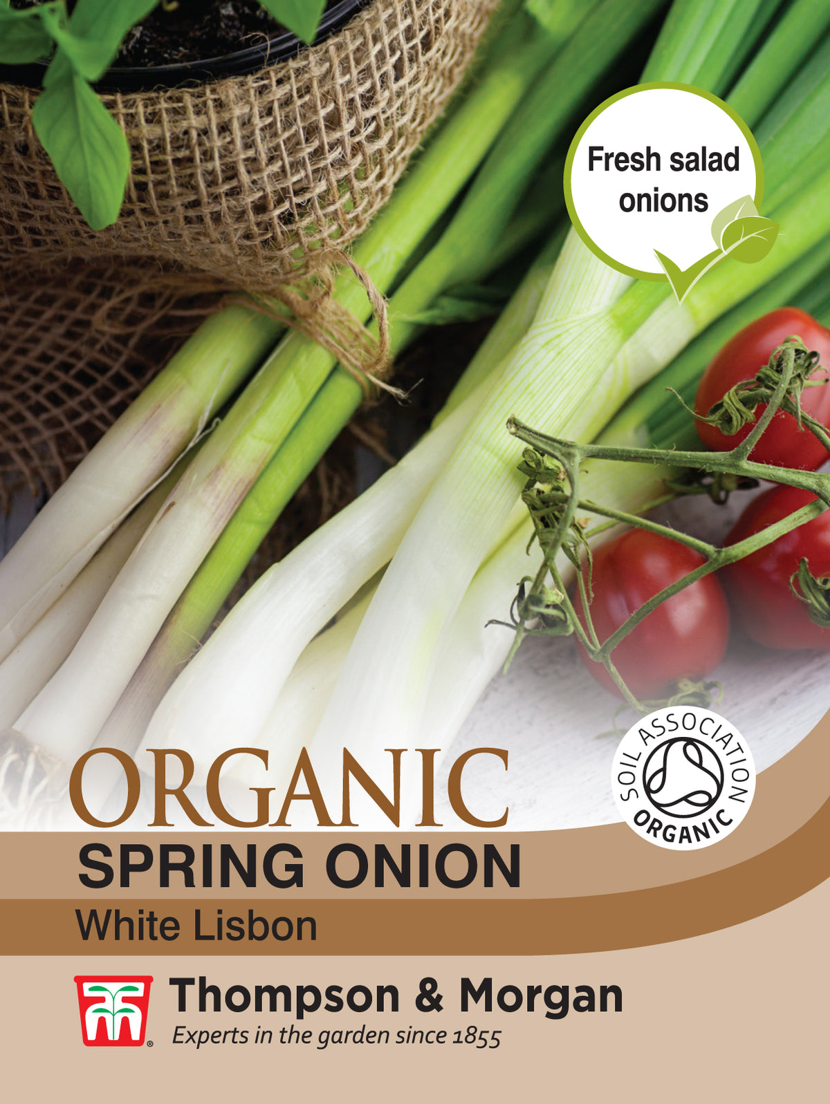 Spring Onion White Lisbon (Organic)- Pack of seeds