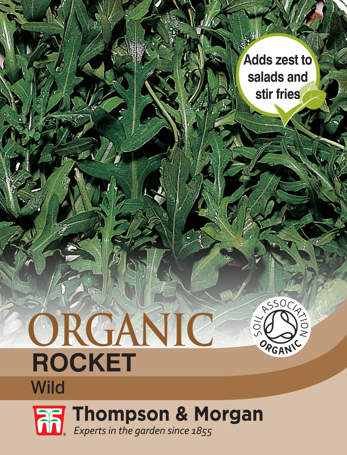 Herb Rocket Wild (Organic)- Pack of seeds