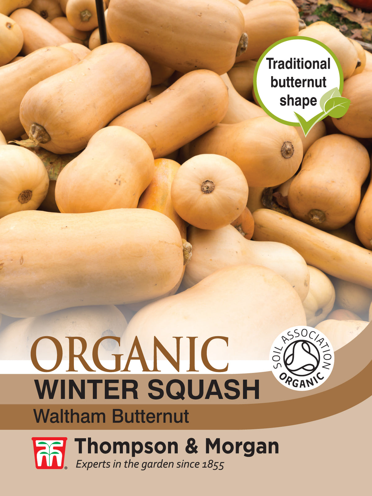 Squash Waltham Butternut (winter) (Organic)- Pack of seeds