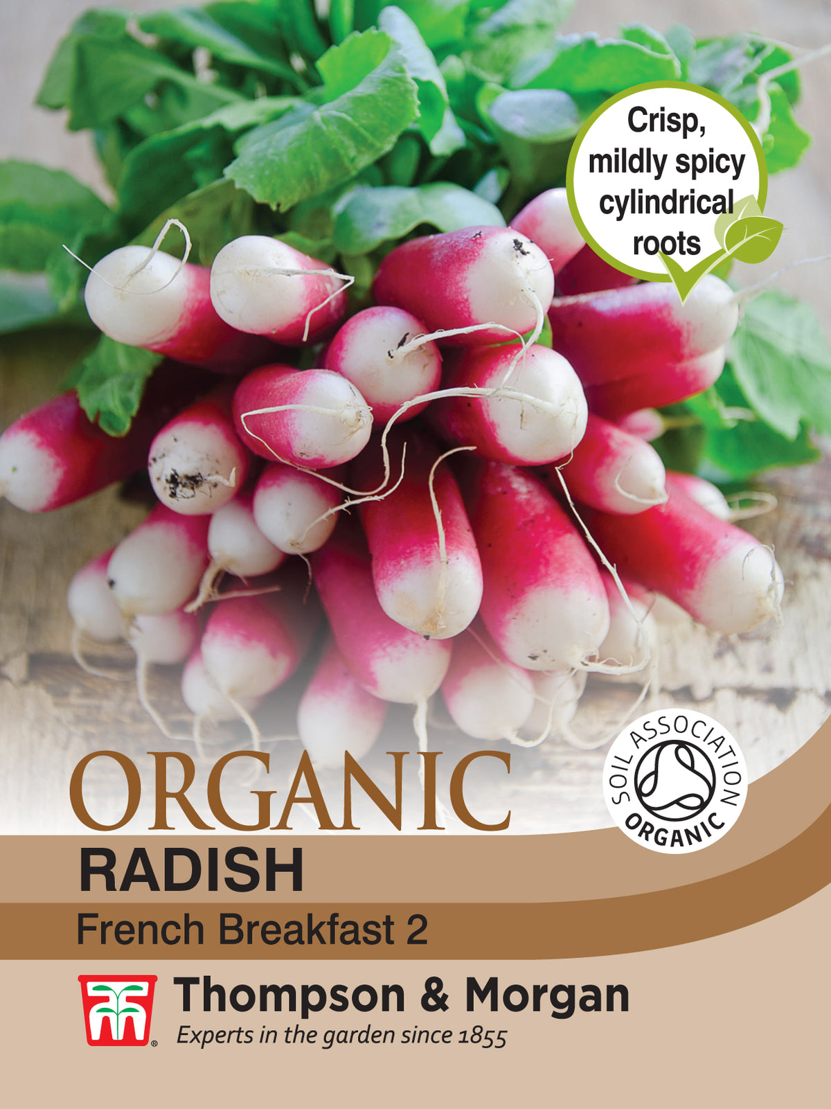 Radish French Breakfast 2 (Organic)- Pack of seeds