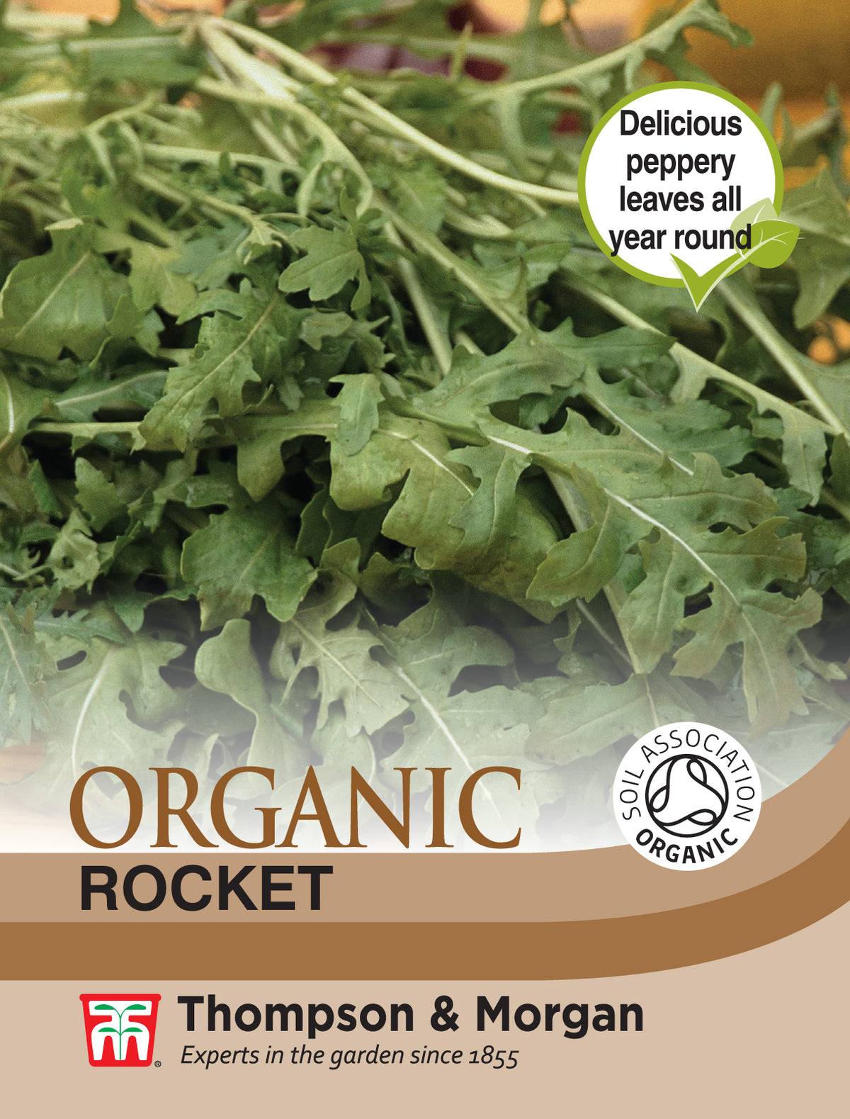 Herb Rocket (Organic)- Pack of seeds